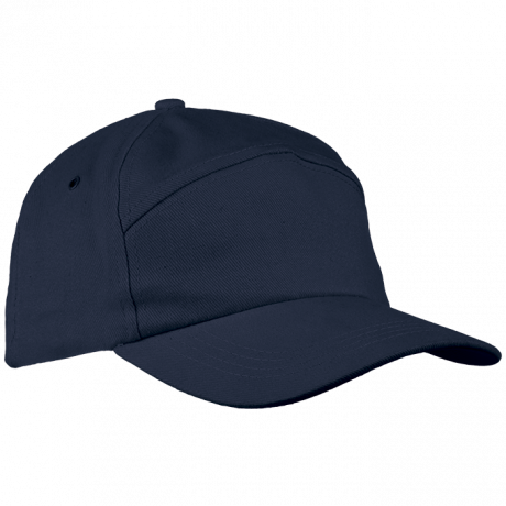 6 Panel Carbon Cap