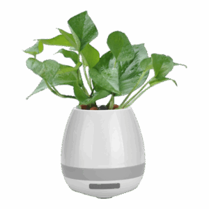 BE0094 - Flowerpot Bluetooth Speaker