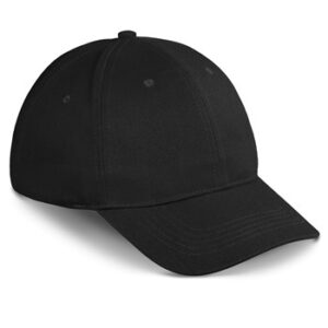 Pro Basic Cap