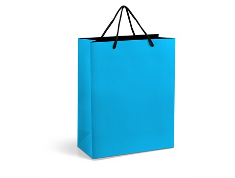 Omega Midi Gift Bag - Image 4