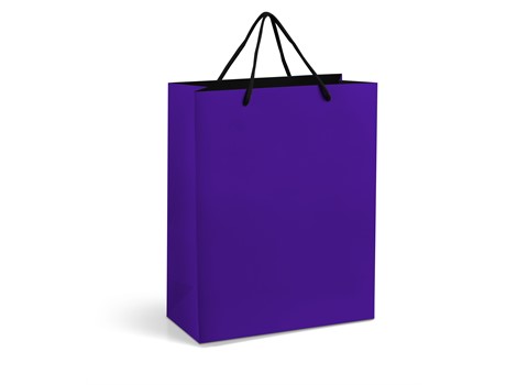 Omega Midi Gift Bag - Image 6