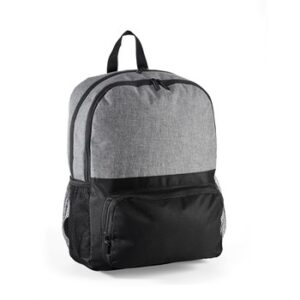 Parsons Laptop Backpack