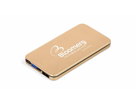 Voltage 4000mAh Power Bank & USB